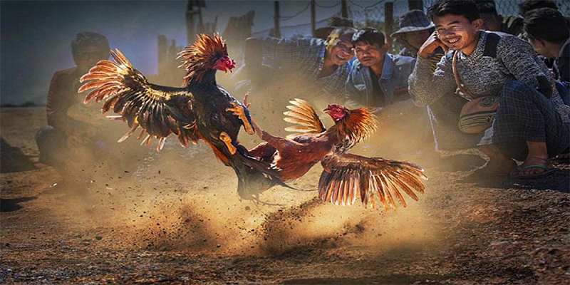 vtv5 đăng nhập roulette số 1