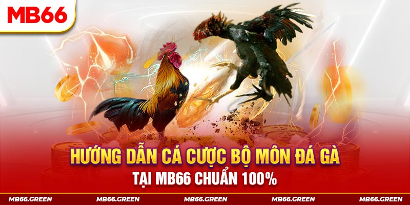 vtv5 xổ số bình định
