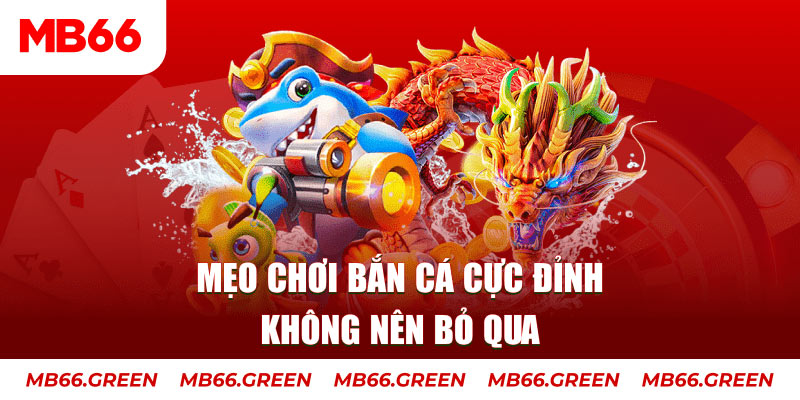 vtv5 casino ở đâu
