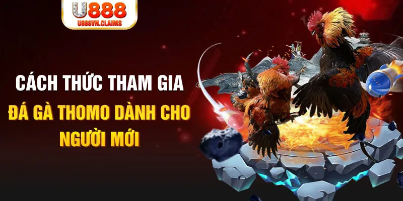 vtv5 kết quả xổ số miền nam