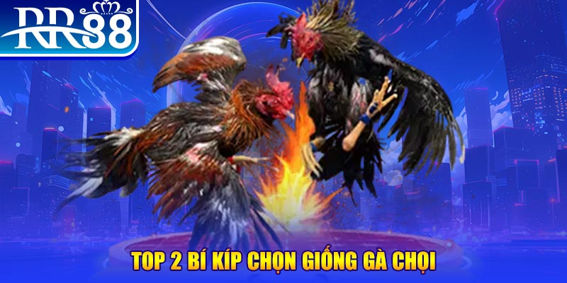 vtv5 đăng nhập roulette dễ thắng