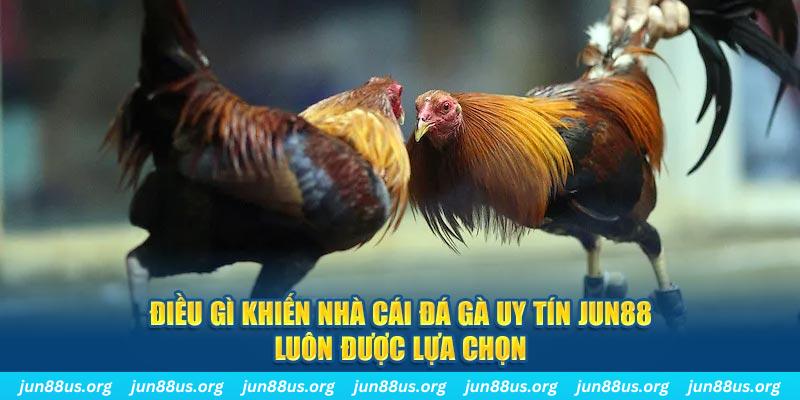 vtv5 qq88 nổ hũ bắn cá