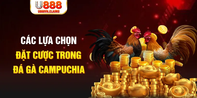 vtv5 SW Xổ Số
