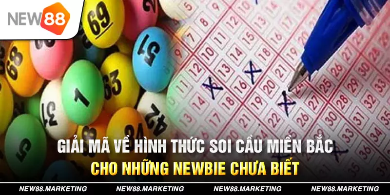 vtv5 đăng nhập mậu binh live