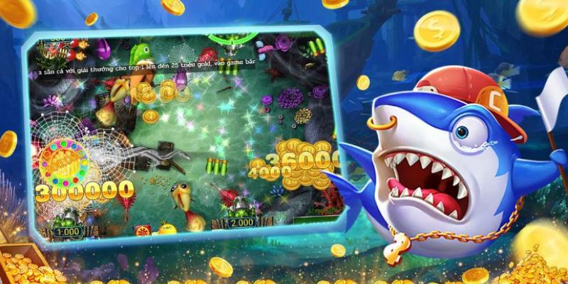 vtv5 game bài là gì