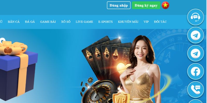 vtv5 slot là gì dịch