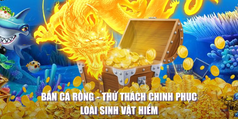 vtv5 MW Điện Tử