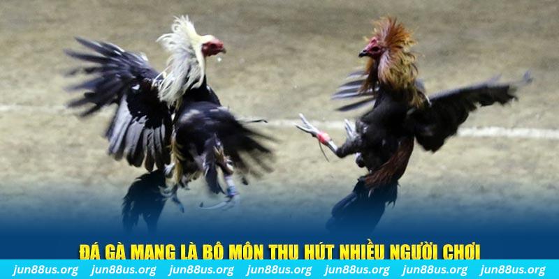 vtv5 xổ số cà mau