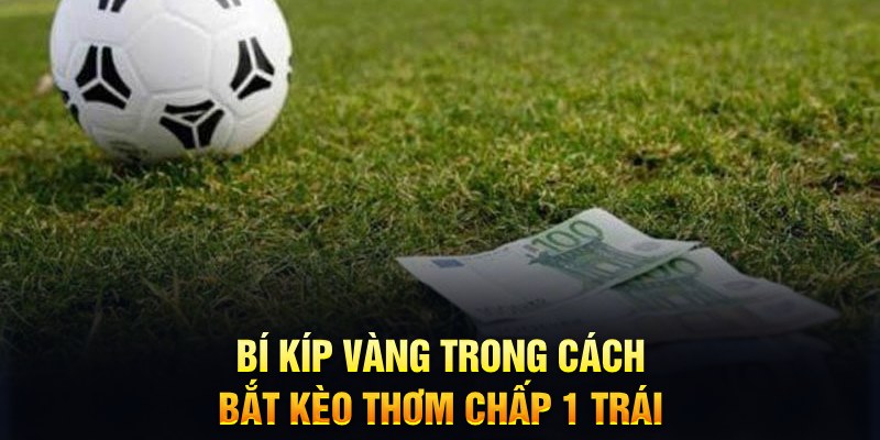 vtv5 đăng nhập mậu binh mới nhất