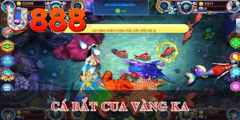 vtv5 đăng nhập phỏm uy tín
