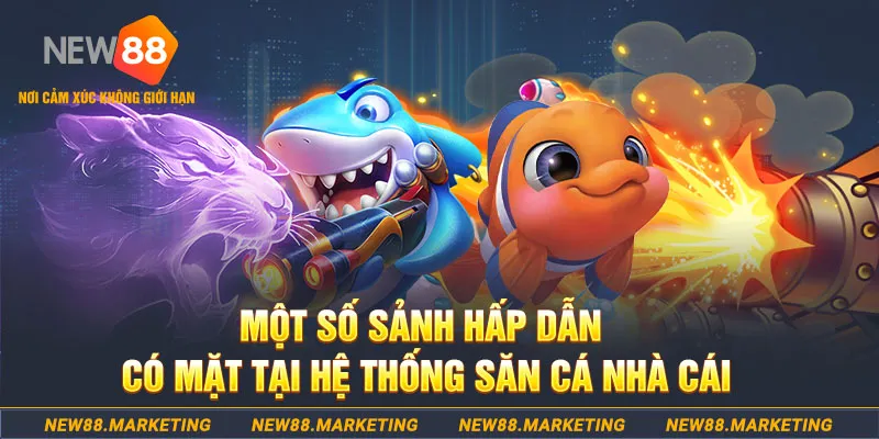 vtv5 đăng nhập sòng bạc 2025