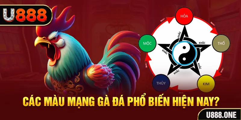 vtv5 đăng nhập mậu binh