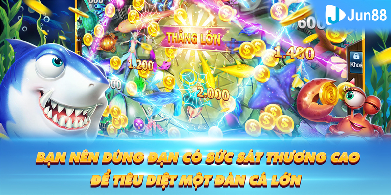 vtv5 Tung Đồng Xu