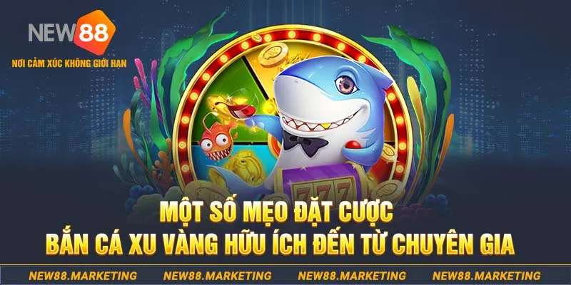 vtv5 what is a casino deposit bonus