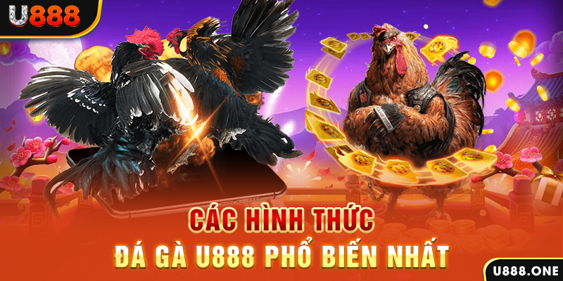 vtv5 DB Trực Tuyến