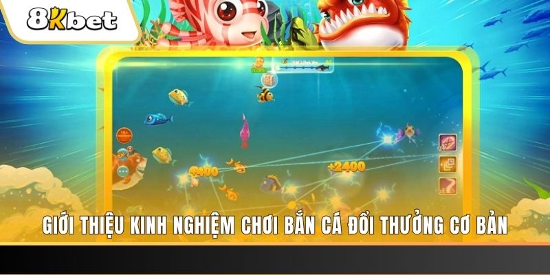vtv5 xổ số miền bắc thứ năm hàng tuần