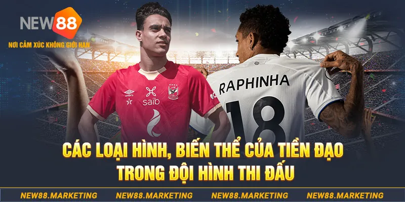 vtv5 đăng nhập phỏm số 1