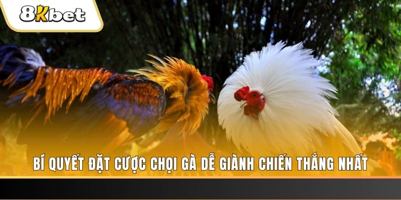 vtv5 Tài Xỉu 2