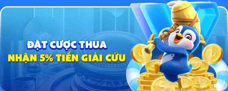 vtv5 gà chọi cu cần