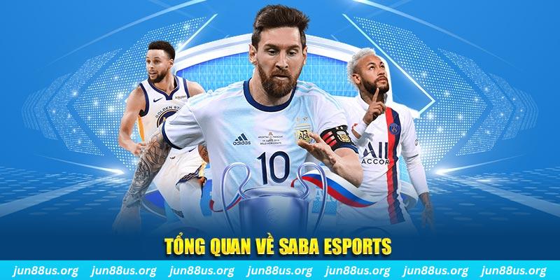 vtv5 gà chọi c1 tv trực tiếp hôm nay