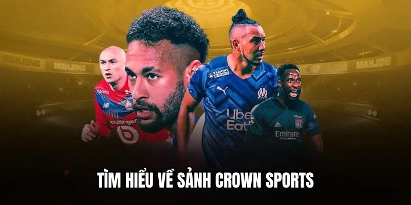 vtv5 đá gà trực tiếp