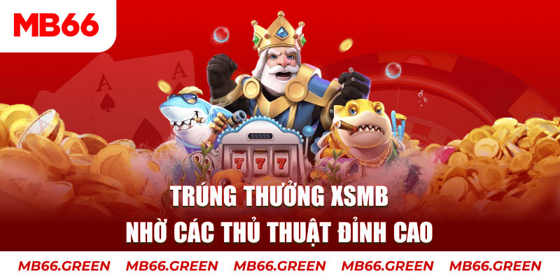 vtv5 xổ số đài hà nội
